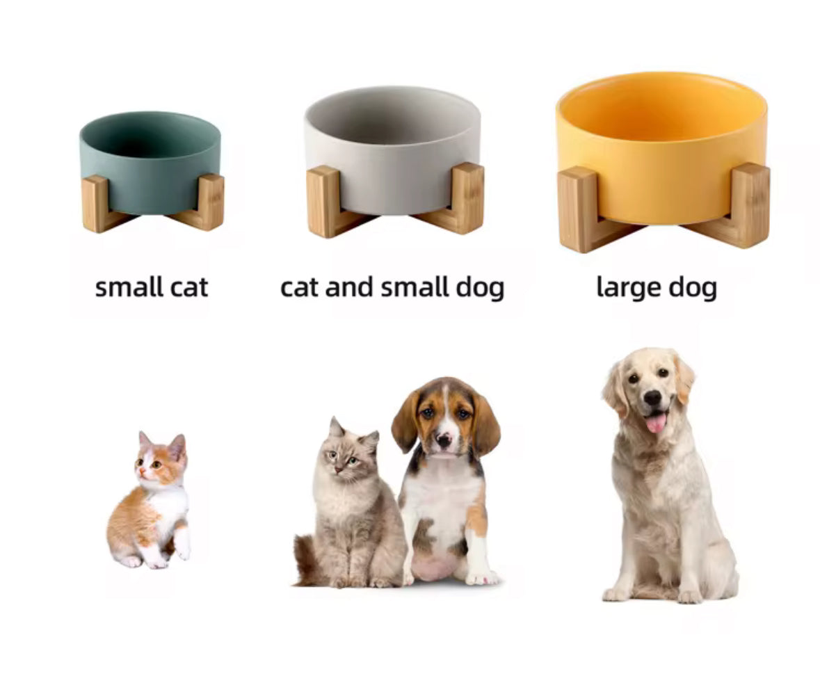 Ceramic Food Bowl with Wooden Stand
