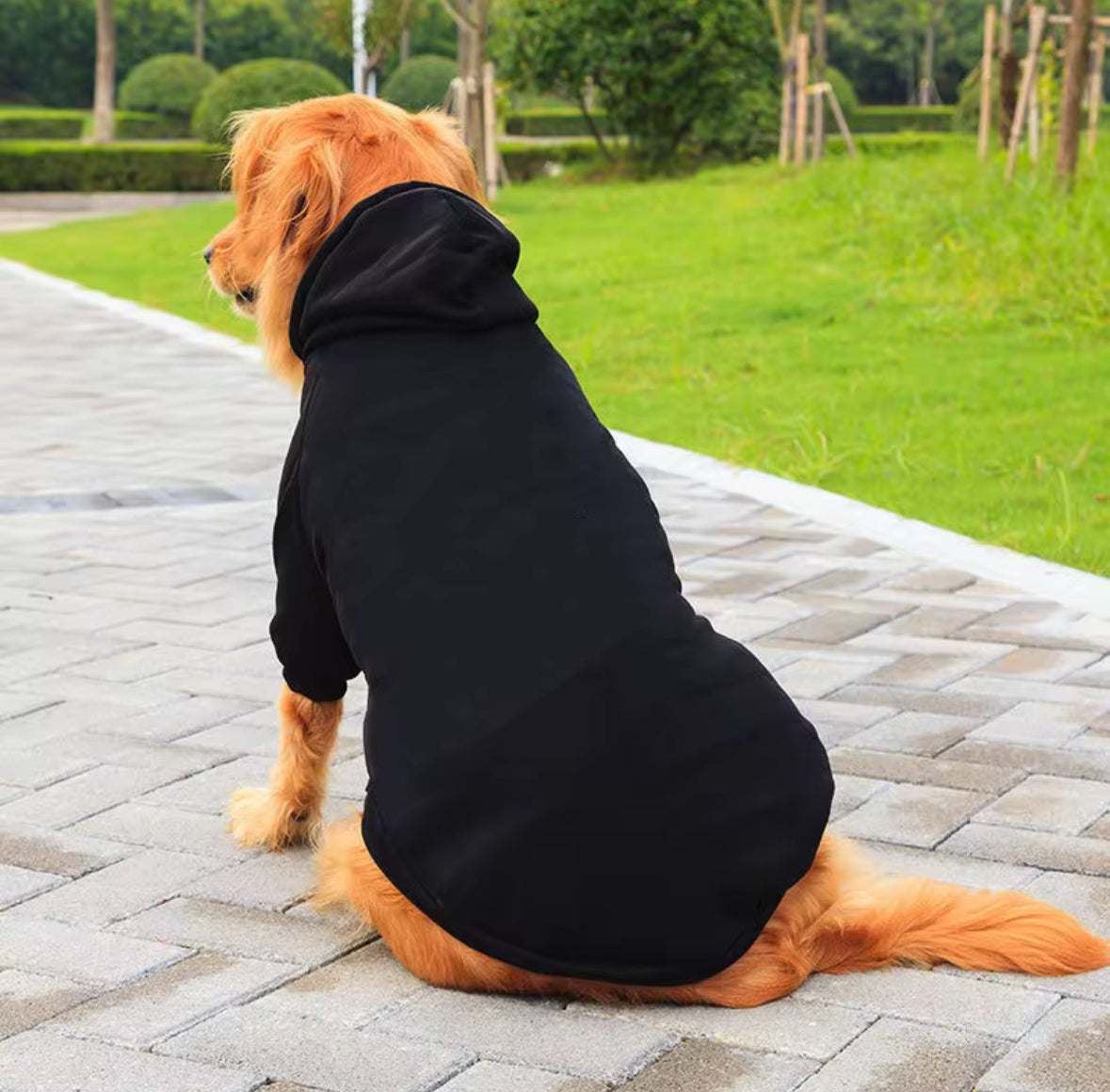 Plain Pet Hoodie Fleece Warm