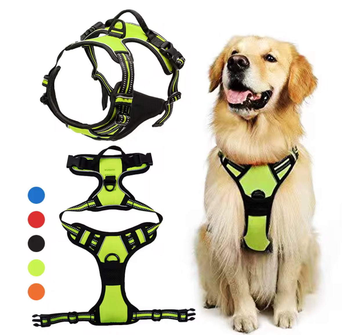 Oxford Harness for Pets