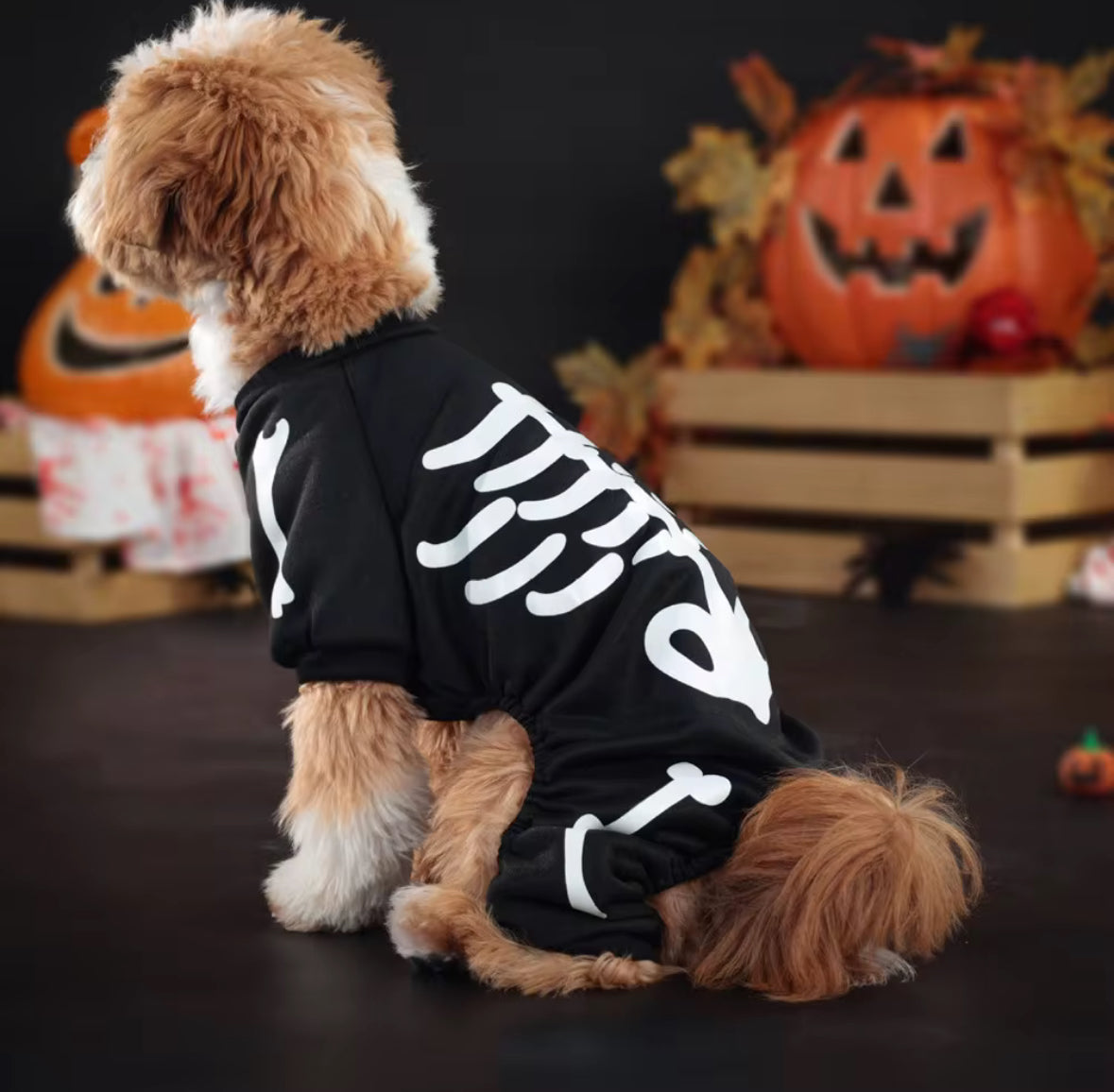 Halloween Luminous Skull Outfit for Pets