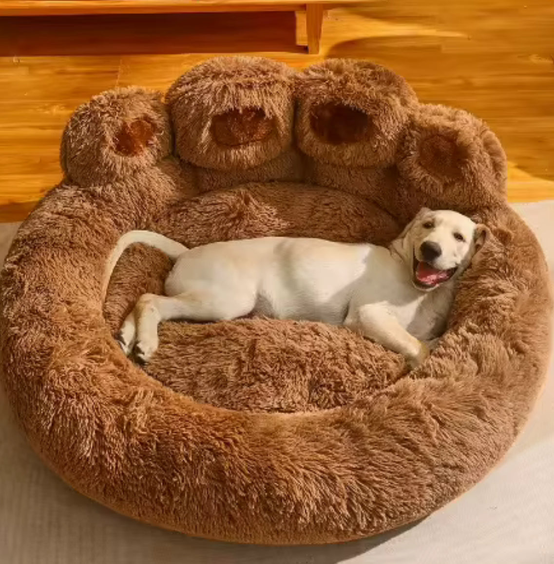Paw Shape Pet Cushion