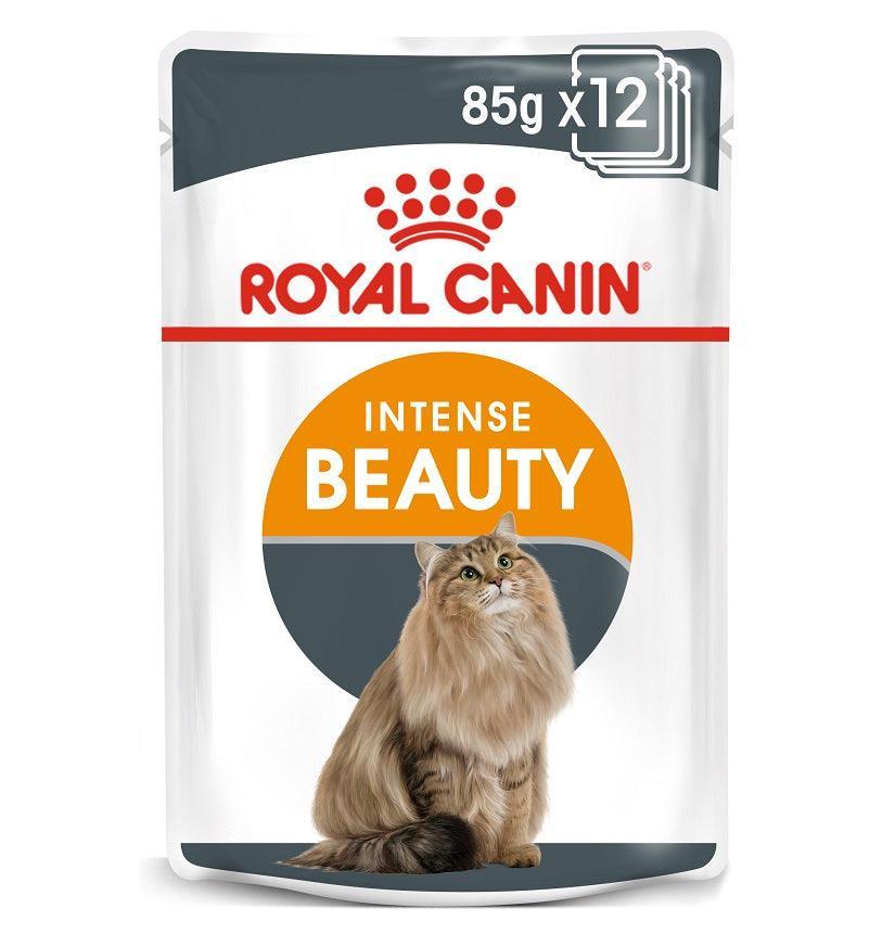 Royal Canin Intense Beauty in Jelly Pouches 12 x 85g