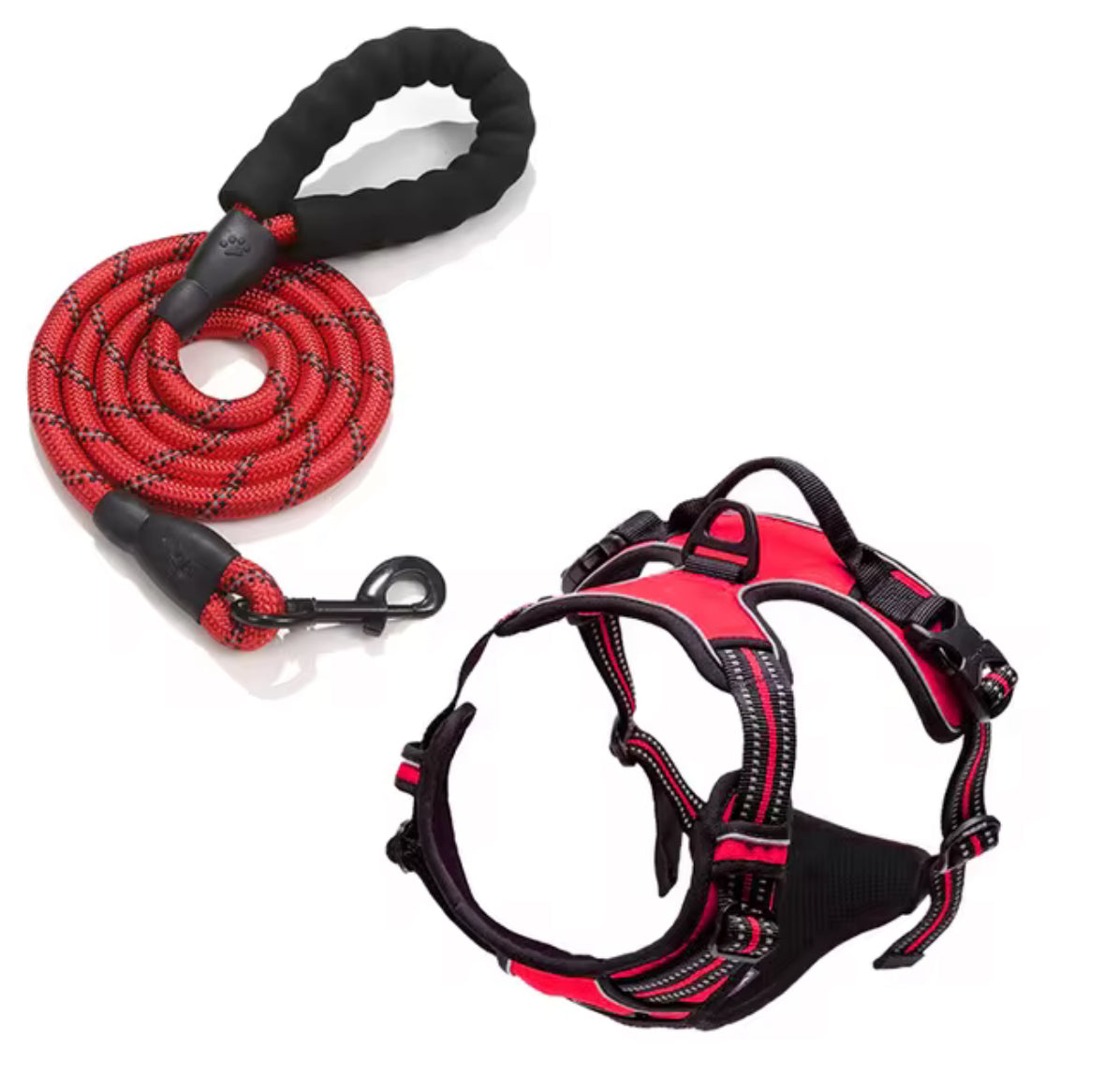 Oxford Harness and Lead for Pets