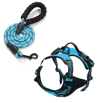 Oxford Harness and Lead for Pets