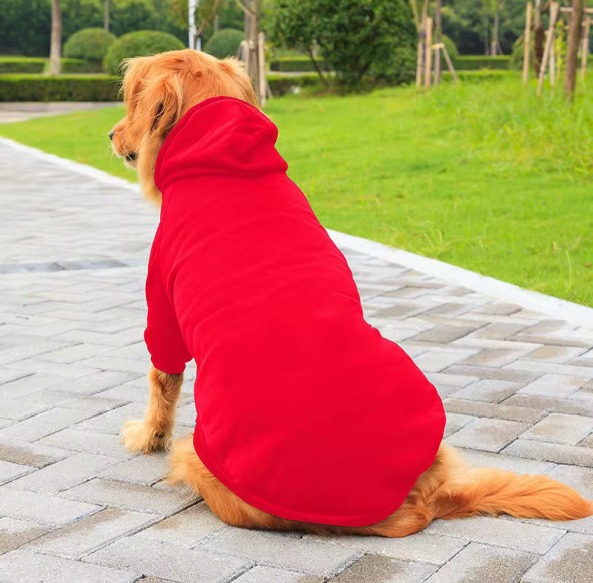 Plain Pet Hoodie Fleece Warm