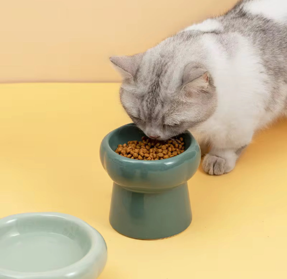 Ceramic On Stand Food Bowl for Pets