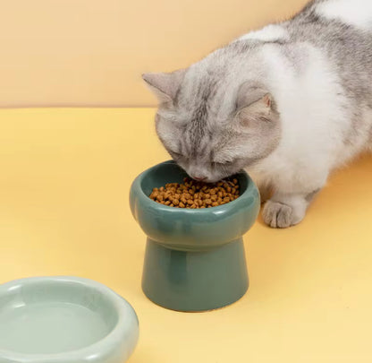 Ceramic On Stand Food Bowl for Pets