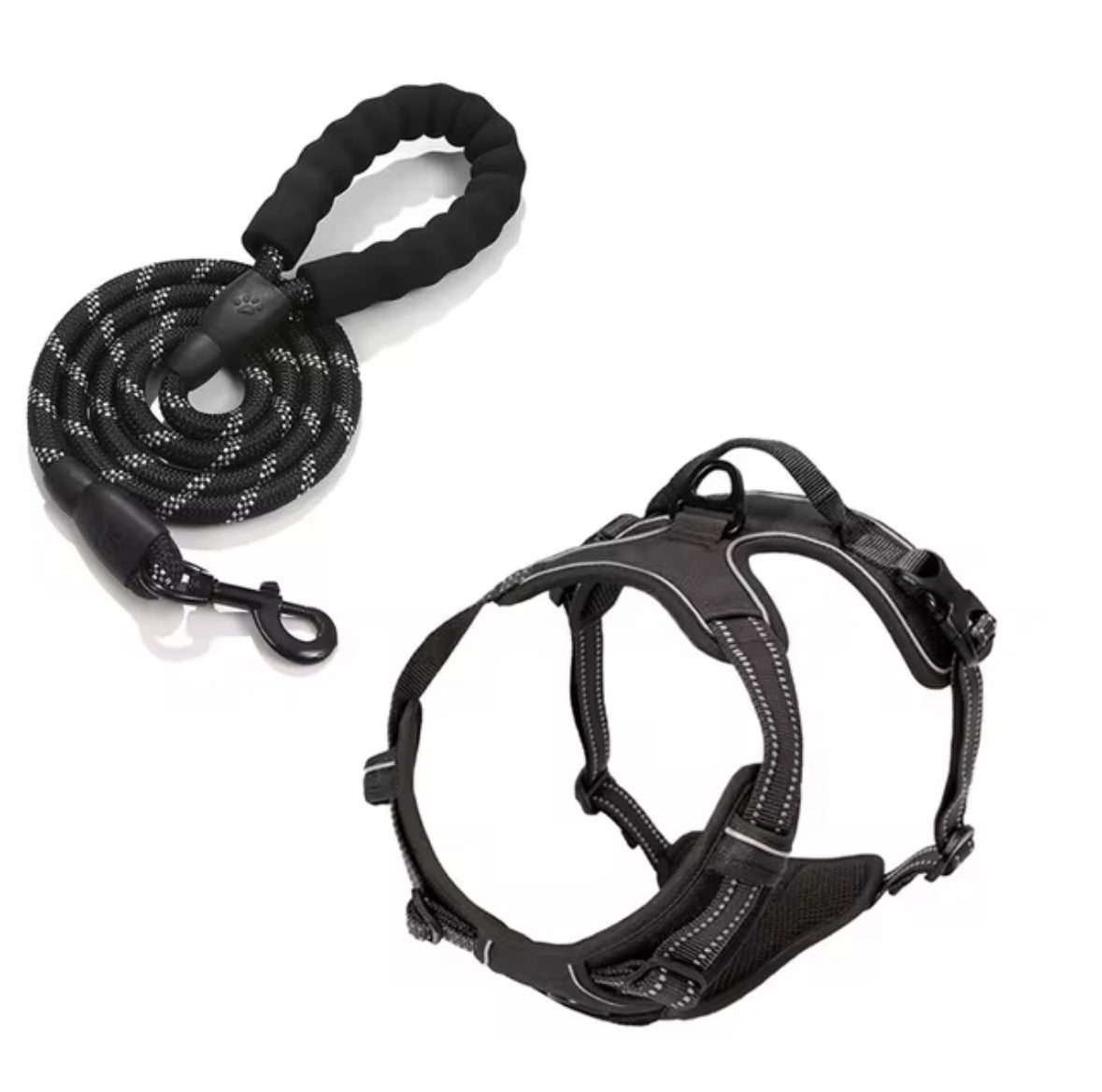 Oxford Harness and Lead for Pets