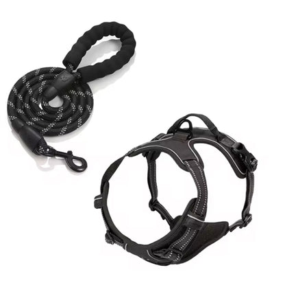 Oxford Harness and Lead for Pets