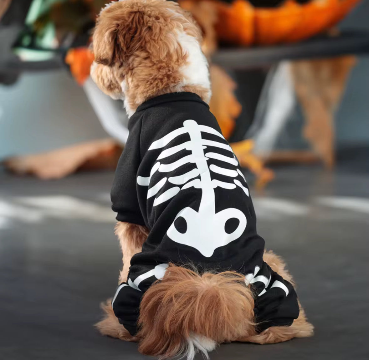 Halloween Luminous Skull Outfit for Pets