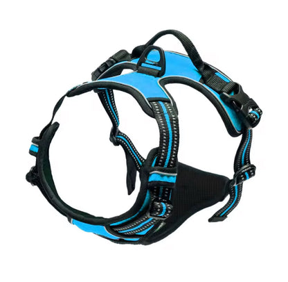 Oxford Harness and Lead for Pets