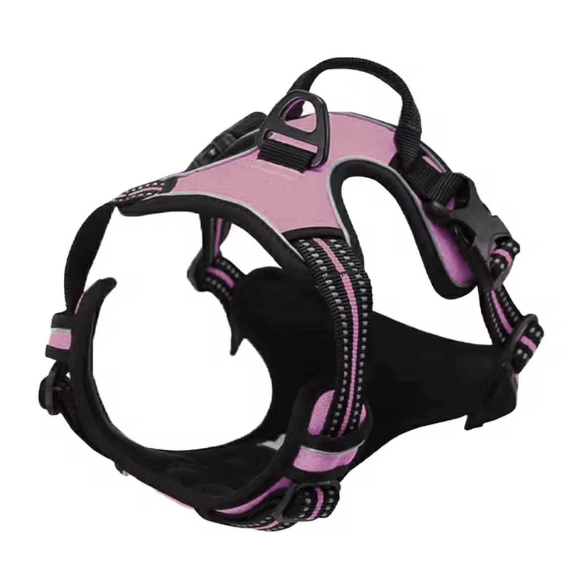 Oxford Harness and Lead for Pets