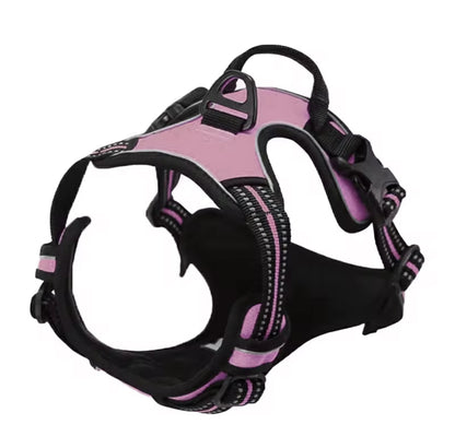 Oxford Harness and Lead for Pets