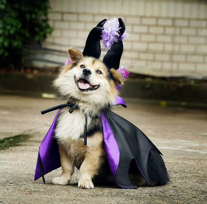 Halloween Wizard Cloak Costume for Small Pets