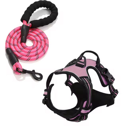 Oxford Harness and Lead for Pets