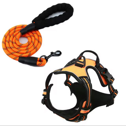 Oxford Harness and Lead for Pets