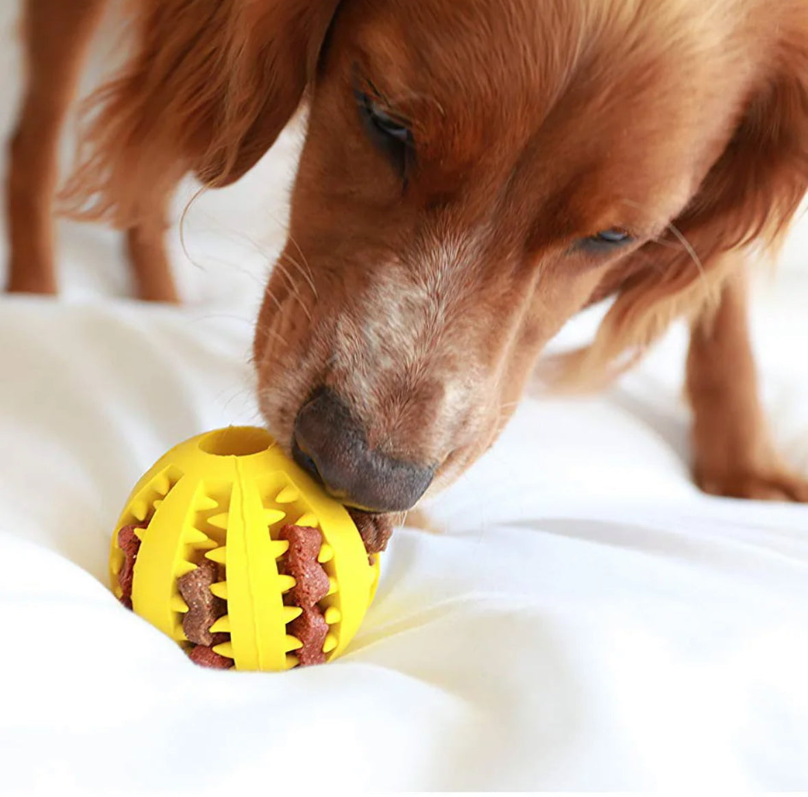 Treat Dispenser Ball