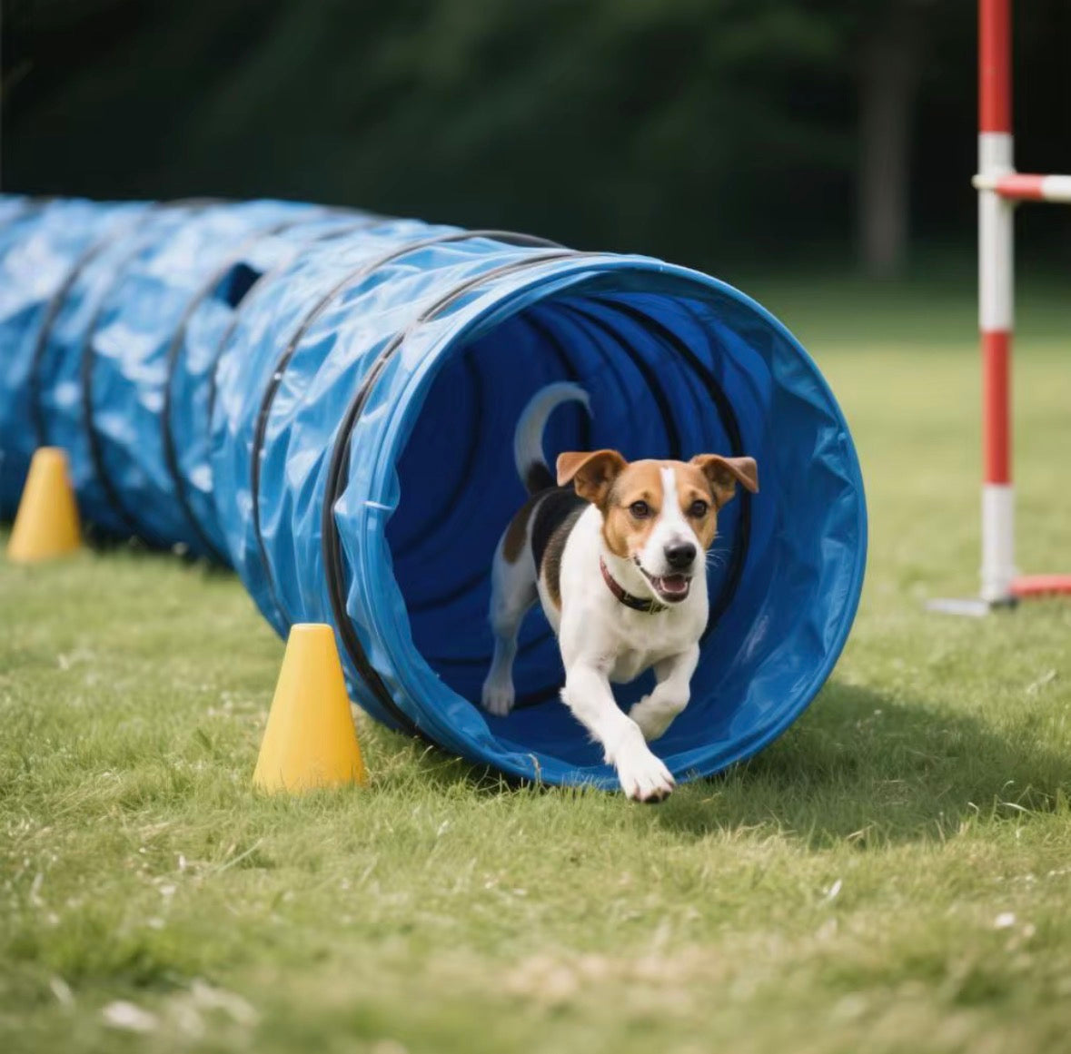 Dog training/play tunnel 5meters x 600mm diameter
