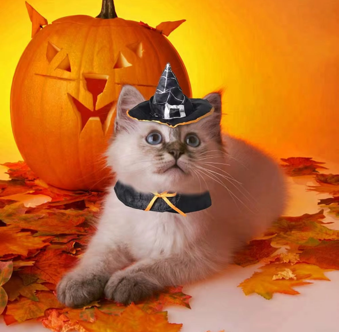 Halloween Mysterious Hat for Small Pets