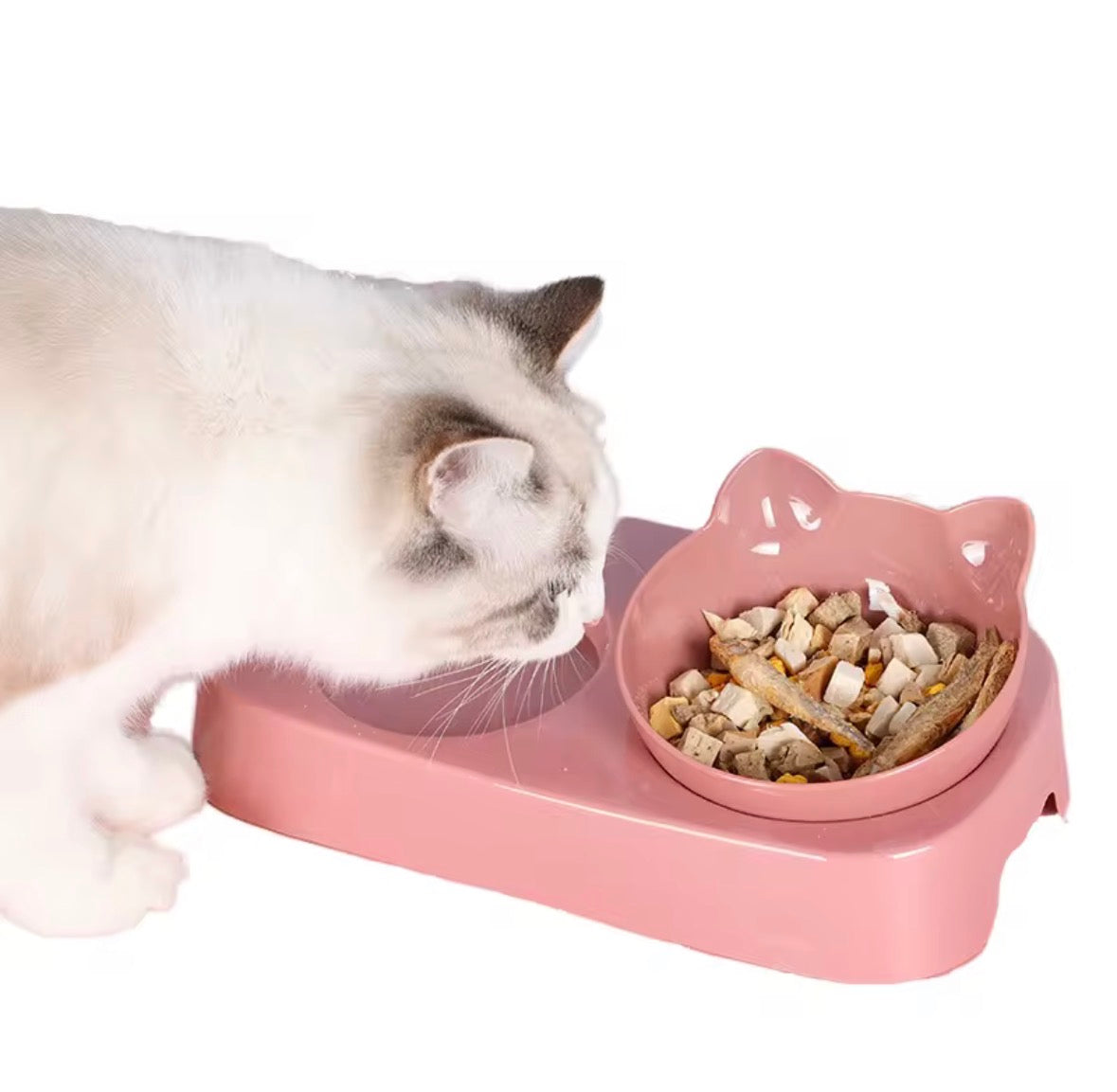 Automatic Double Pet Feeder with Water Bottle