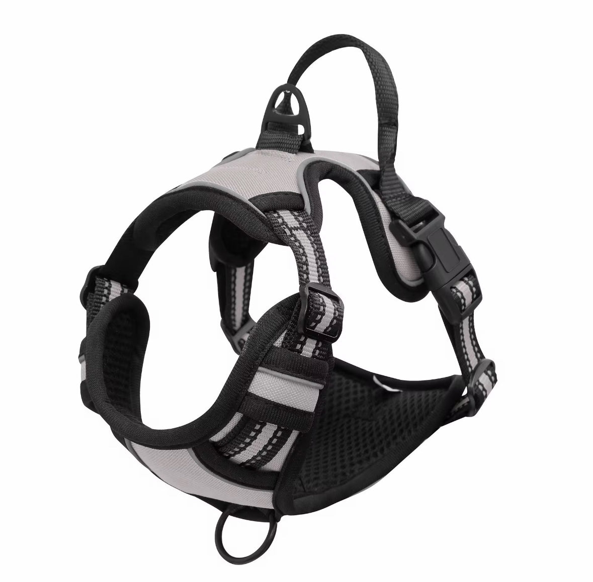 Oxford Harness and Lead for Pets