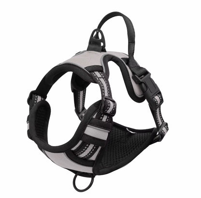 Oxford Harness and Lead for Pets