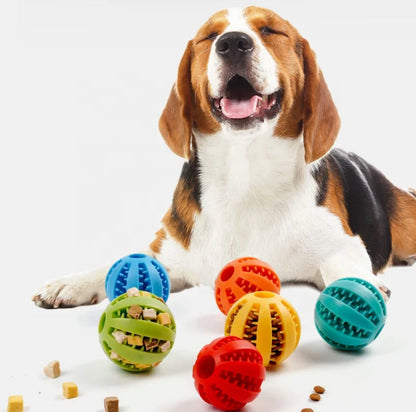 Treat Dispenser Ball