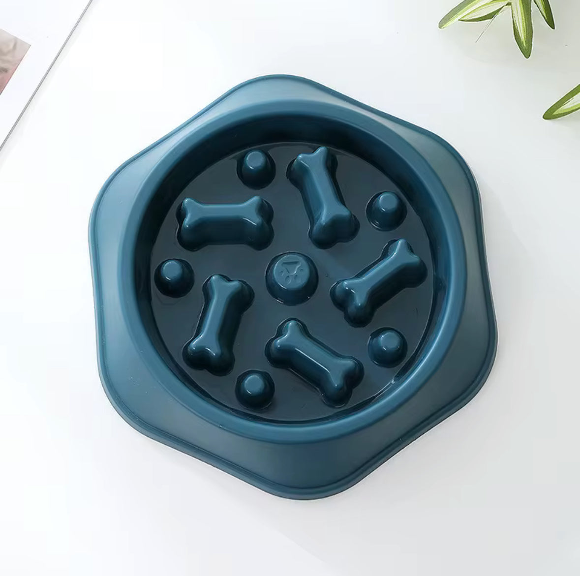 Slow Eating Food Bowl for Pets