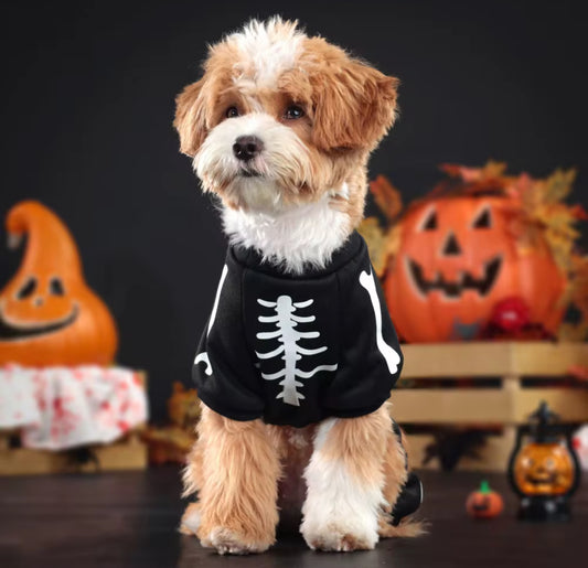 Halloween Luminous Skull Outfit for Pets