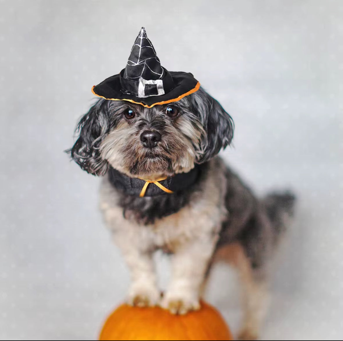 Halloween Mysterious Hat for Small Pets