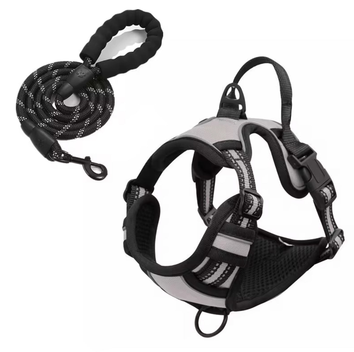 Oxford Harness and Lead for Pets