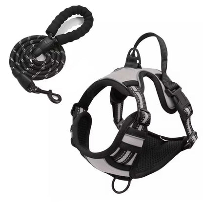 Oxford Harness and Lead for Pets