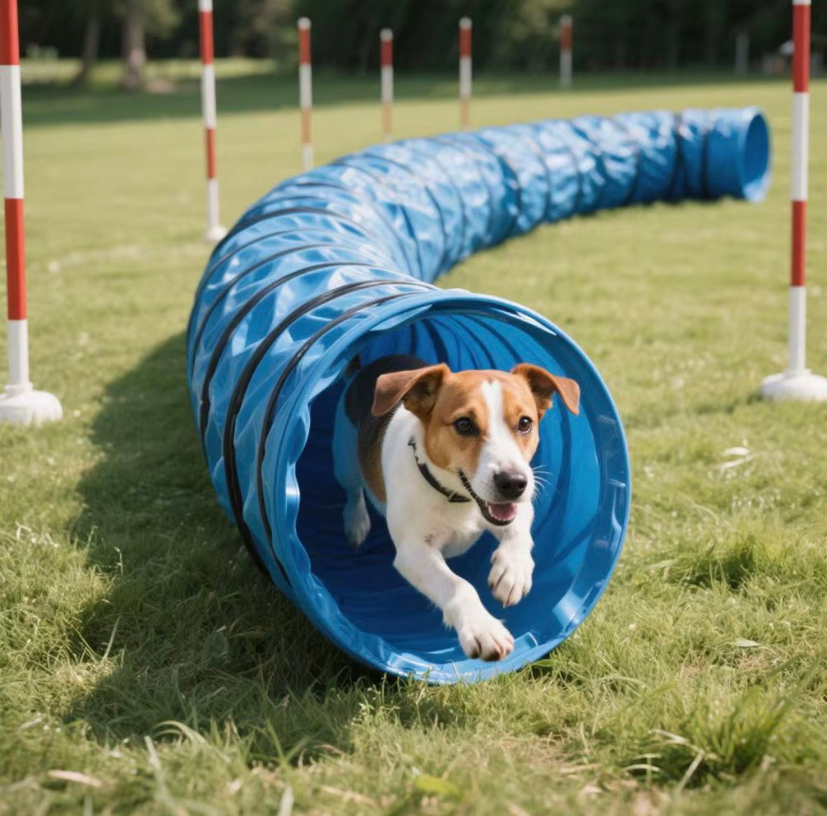 Dog training/play tunnel 5meters x 600mm diameter