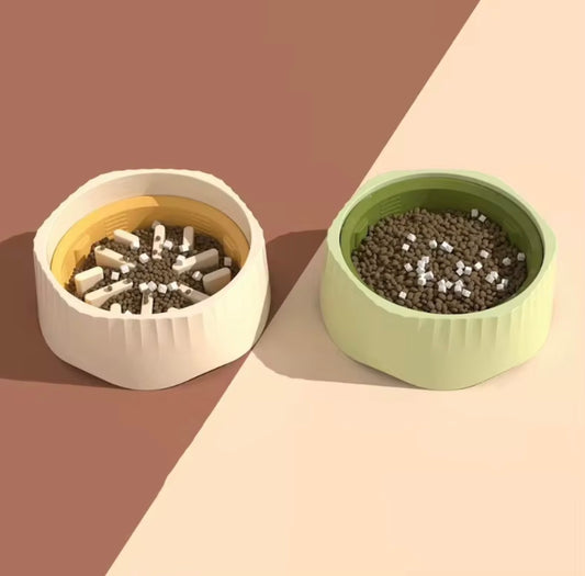 2 in 1 Anti Slip Slow Feeder Dog Bowl