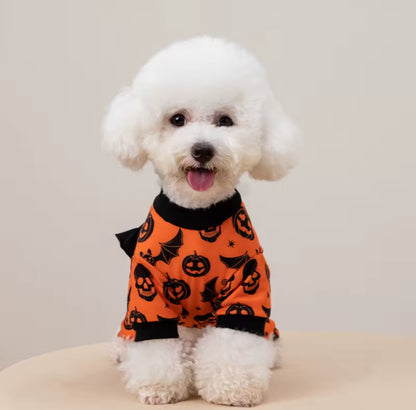 Halloween Pumpkin Outfit for Pets