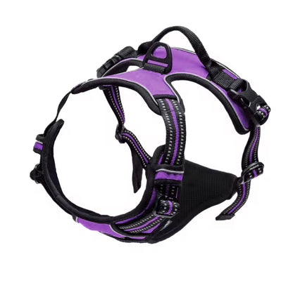 Oxford Harness and Lead for Pets