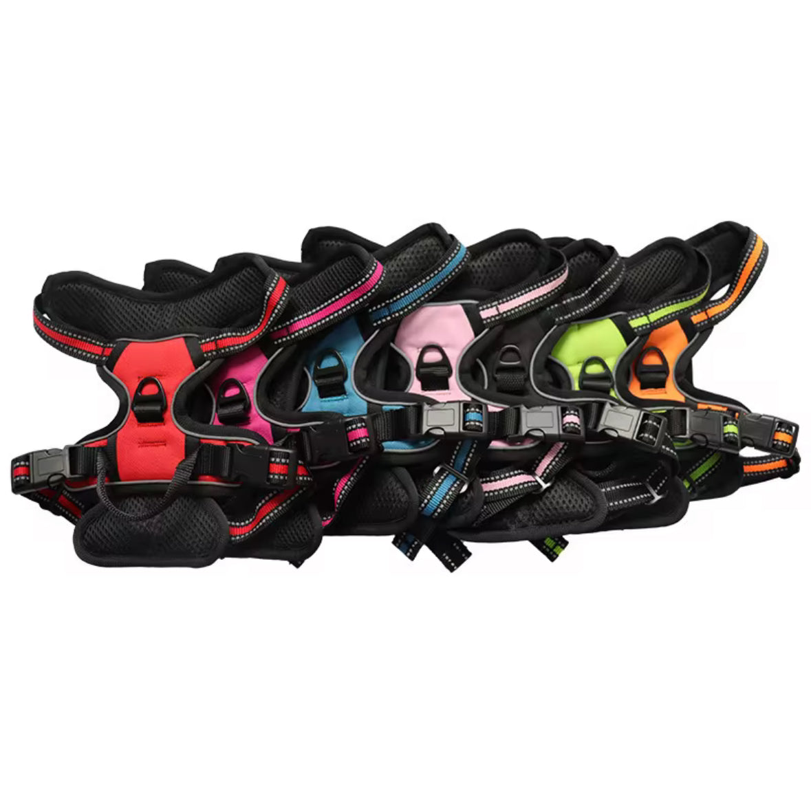 Oxford Harness and Lead for Pets