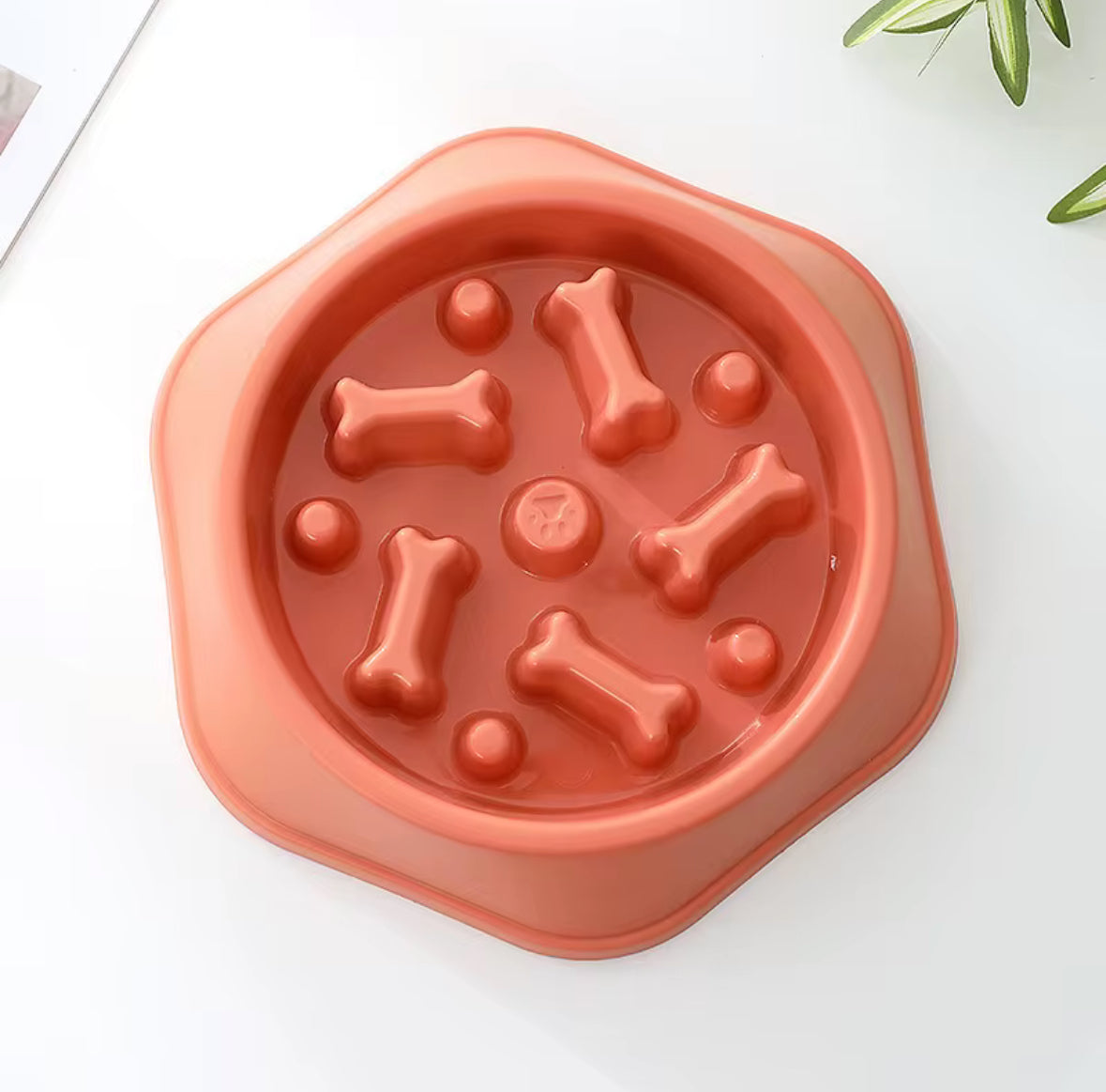 Slow Eating Food Bowl for Pets