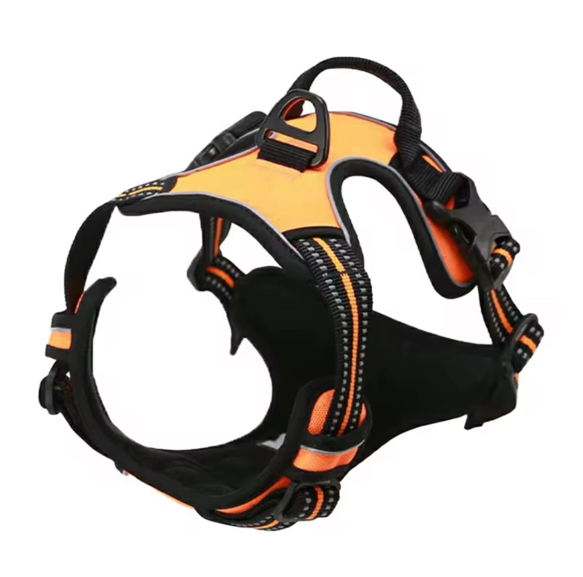 Oxford Harness and Lead for Pets
