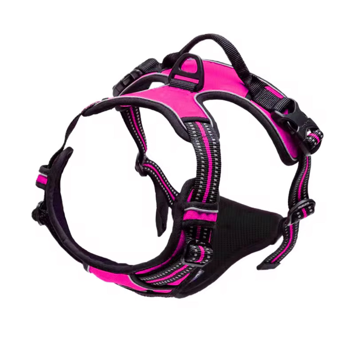 Oxford Harness and Lead for Pets