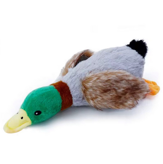 Wild Duck Plush Toy for Pets