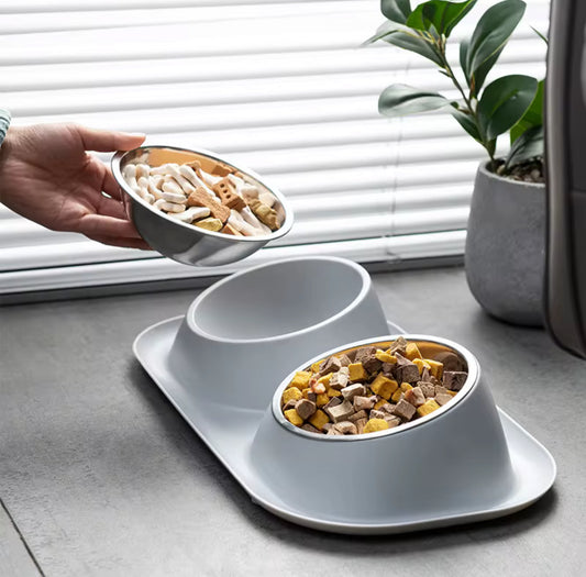 Stainless Steel Double Food Bowl For Pets