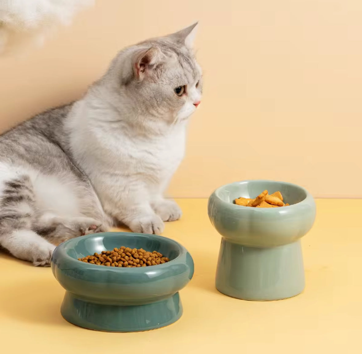 Ceramic On Stand Food Bowl for Pets