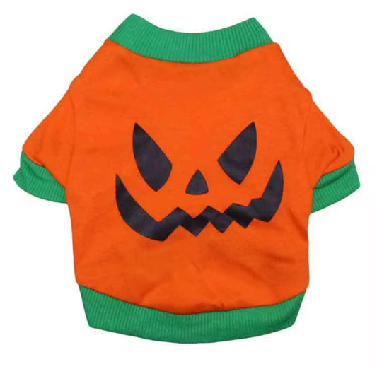 Halloween Outfit for Small Pets Spooky Pumpkin Design