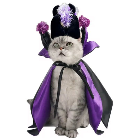 Halloween Wizard Cloak Costume for Small Pets
