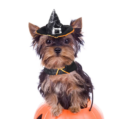 Halloween Mysterious Hat for Small Pets