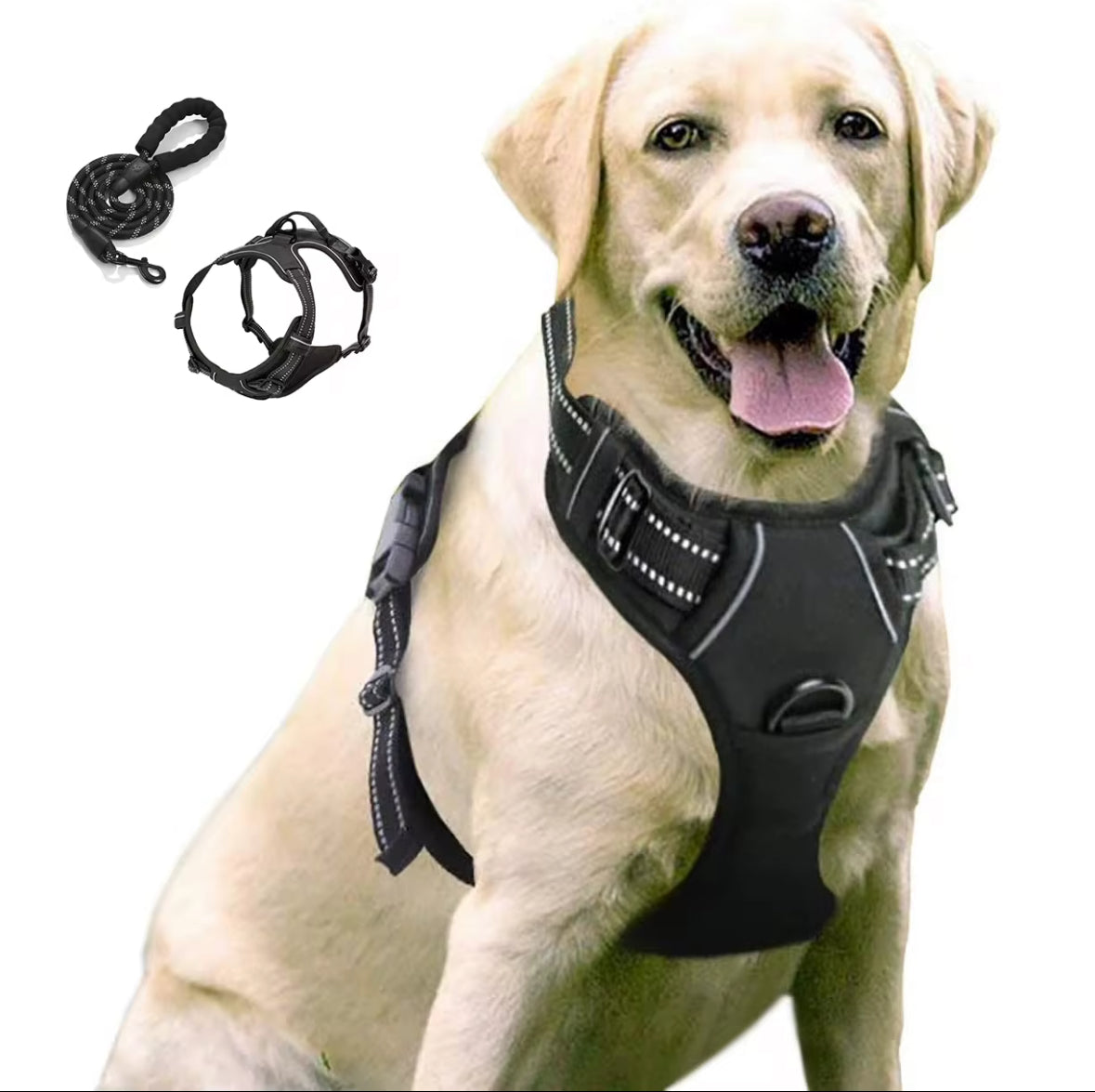 Oxford Harness and Lead for Pets