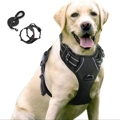 Oxford Harness and Lead for Pets