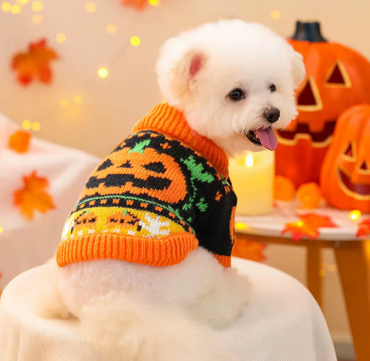 Halloween Pumpkin Costume for Small Pets