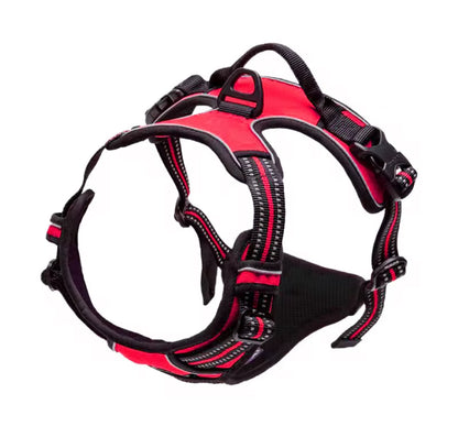 Oxford Harness and Lead for Pets